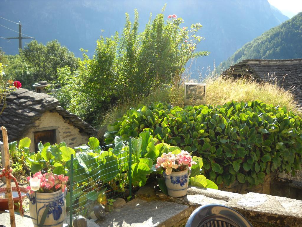 Guesthouse By Wild Linescio Bagian luar foto