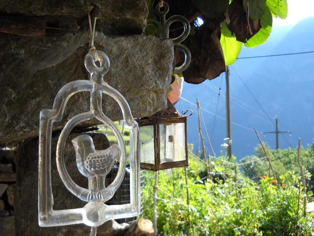 Guesthouse By Wild Linescio Bagian luar foto